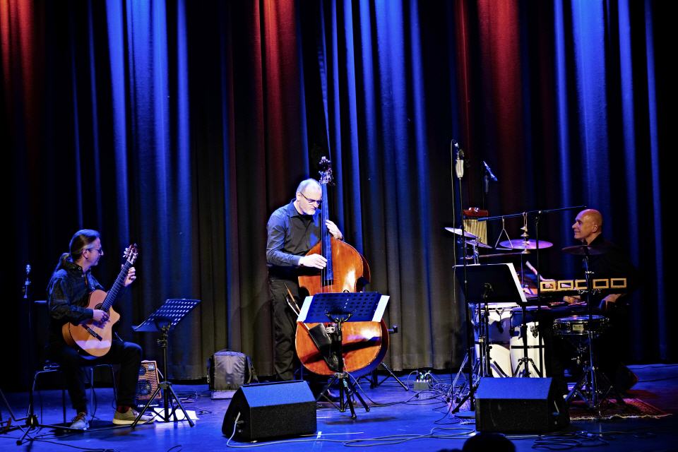 Werner Kiefaber Trio